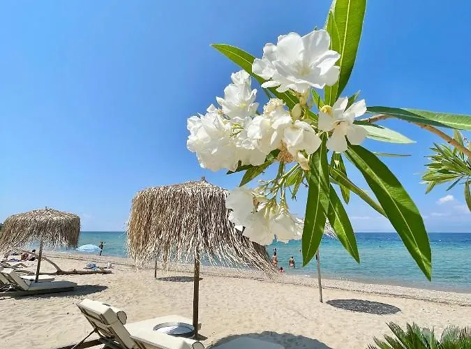 Byblos Mare-the Exclusive Front Villa